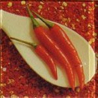 Spice Chilli 9,8*9,8
