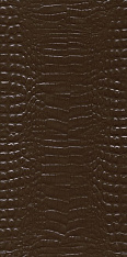 11067T Махараджа коричневый 30х60