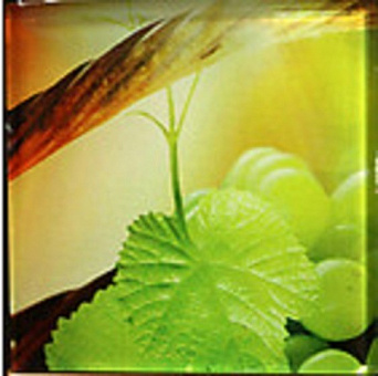 Vineyard 1 (Grapes) 9,8*9,8