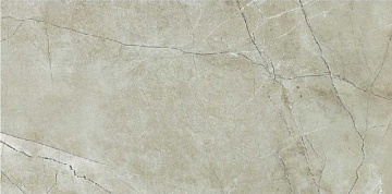 Attica Pro Grigio Lev 60x120