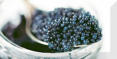 Monocolor Decor Black Caviar 03 10х20