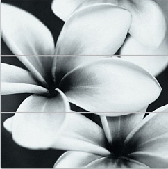 Universal Glass Flowers (компл из 3-х шт) 75x75