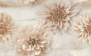 Duty Decorado Duty Beige  25x40