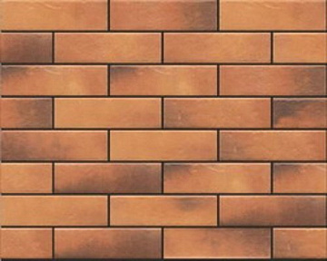 Retro Brick Elewacja Curry 245х65х8