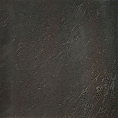 Goldeneye Dark Black 50,5x50,5